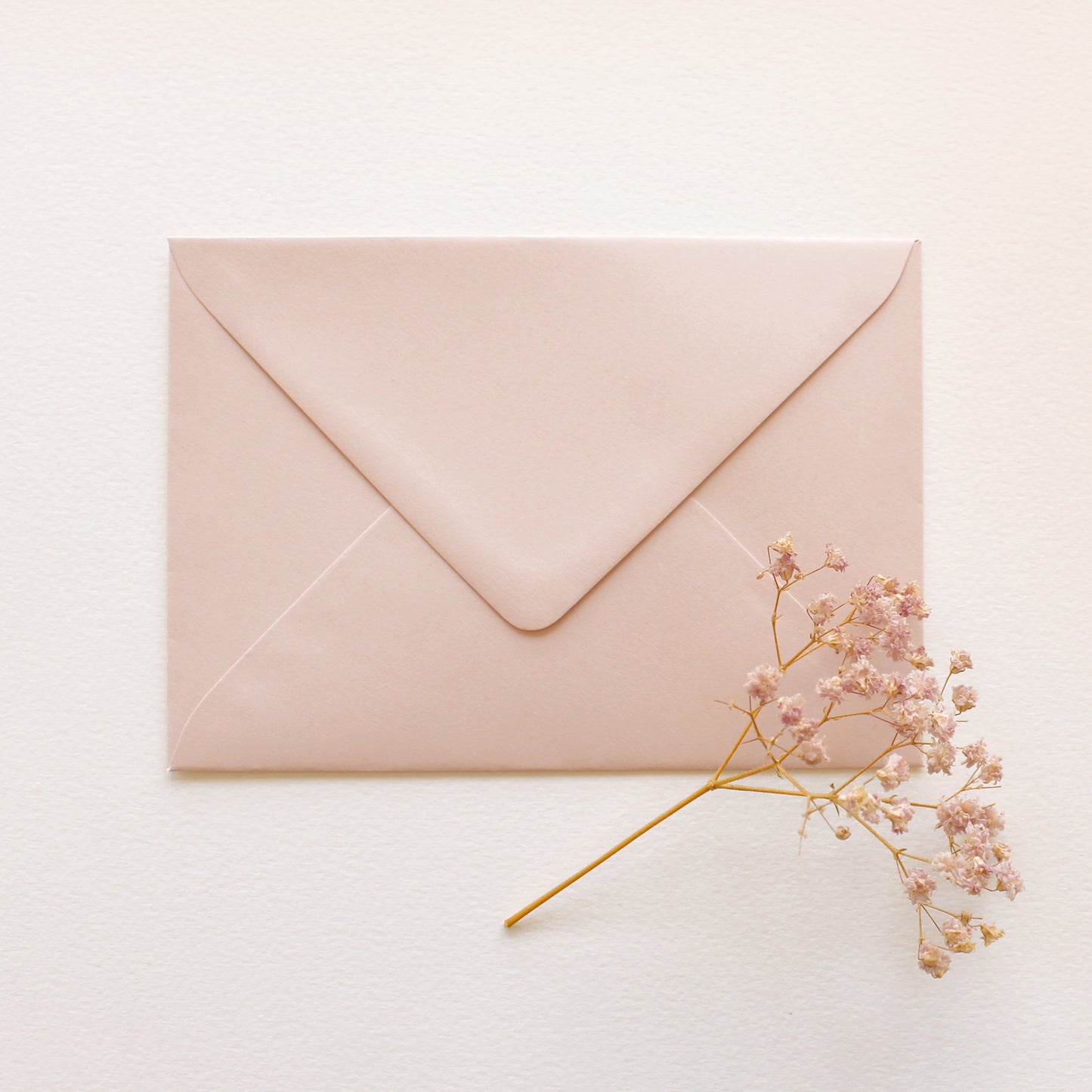 Envelope | Rose