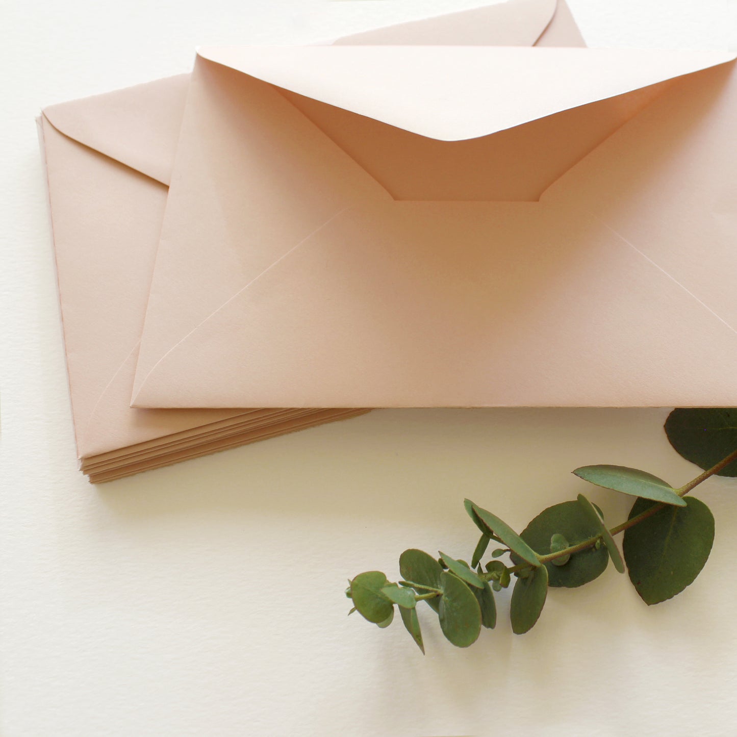 Envelope | Rose