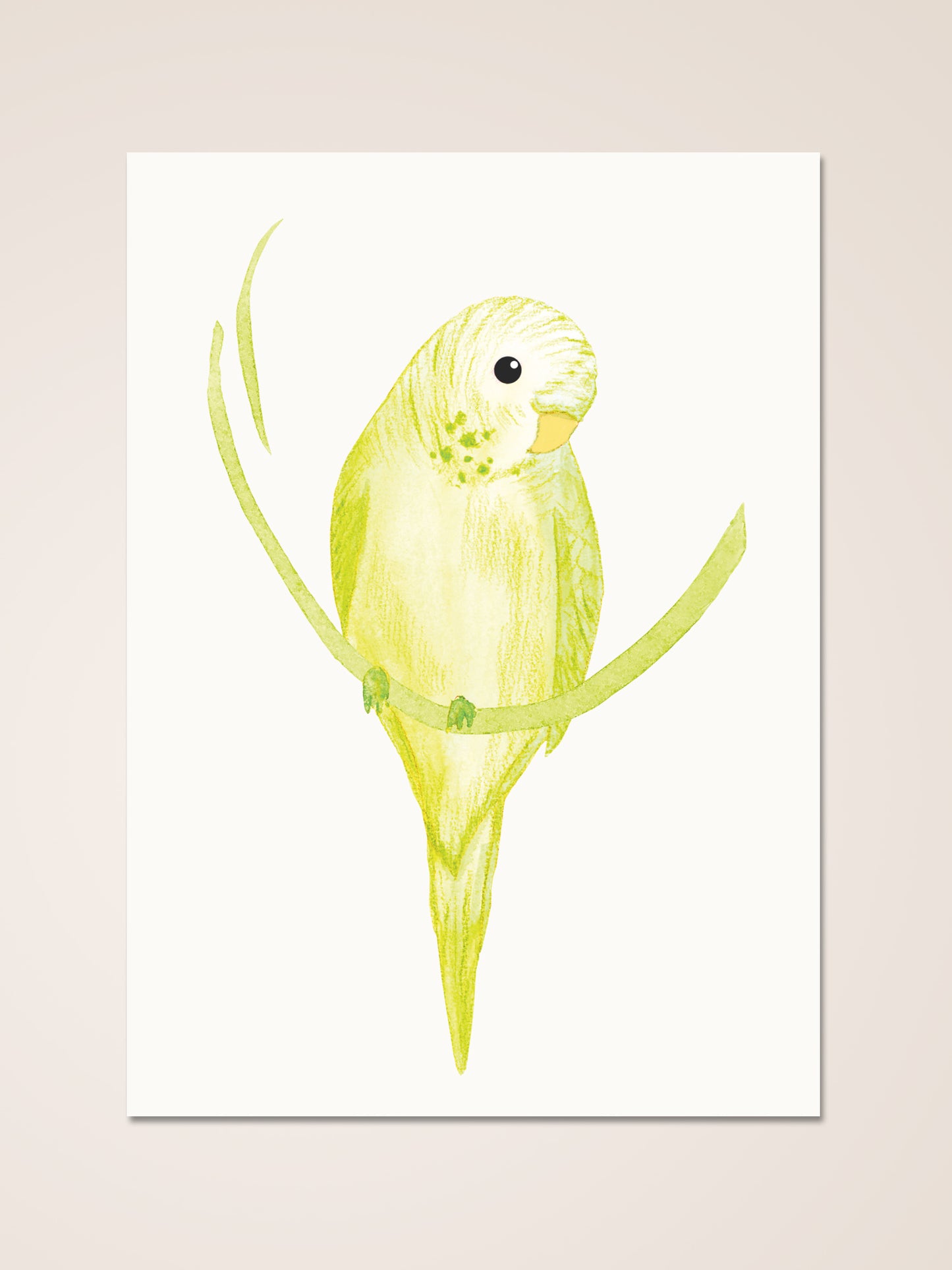 Budgie green | Card