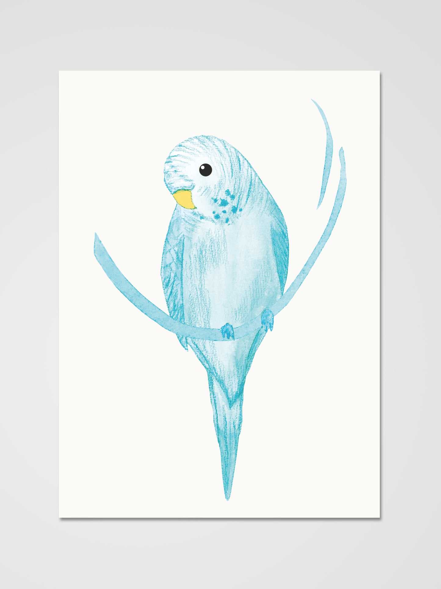 Budgie blue | Postcard