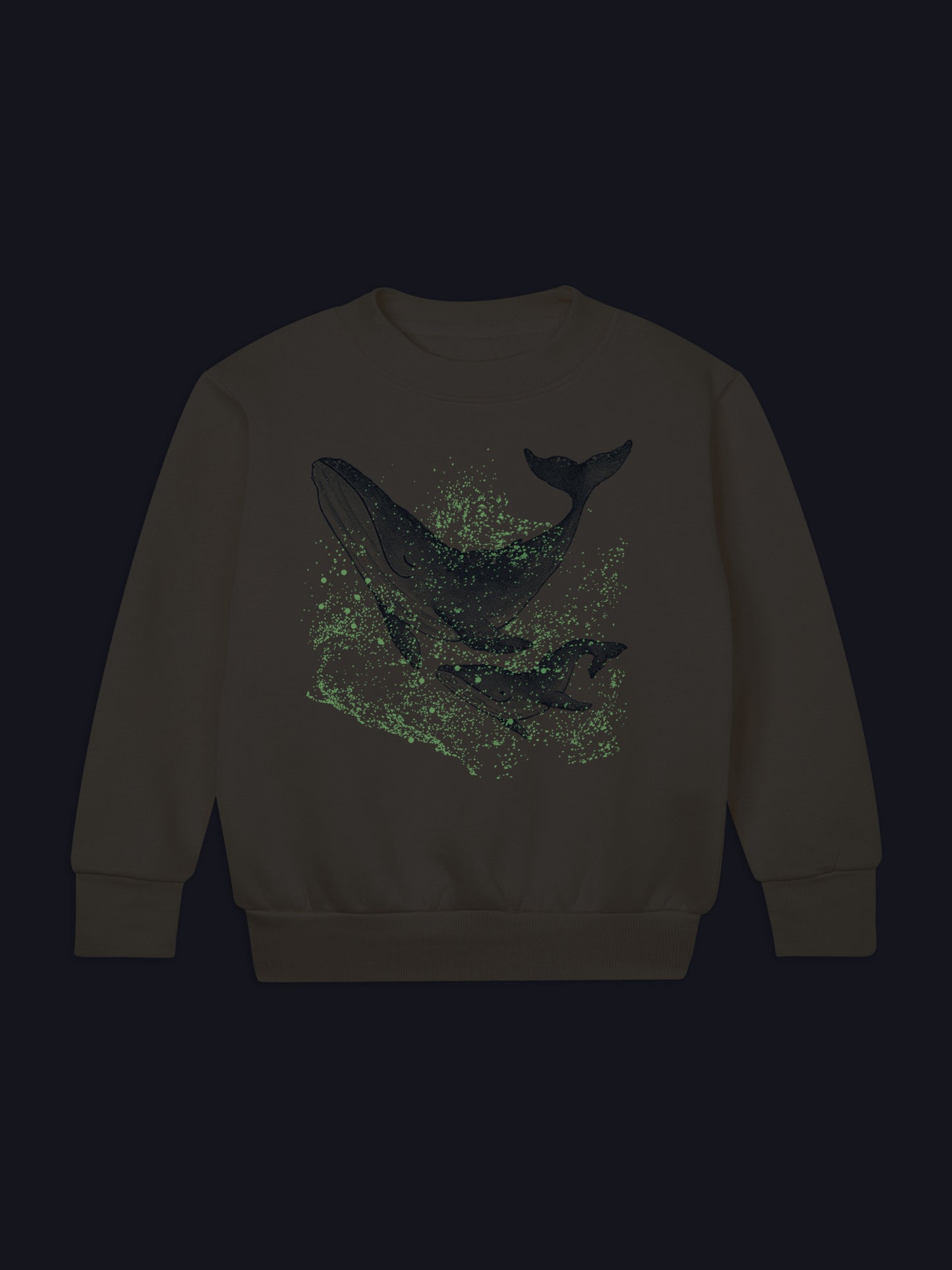 Wale 'Glow in the Dark Plankton' | Sweater 2-11 Jahre