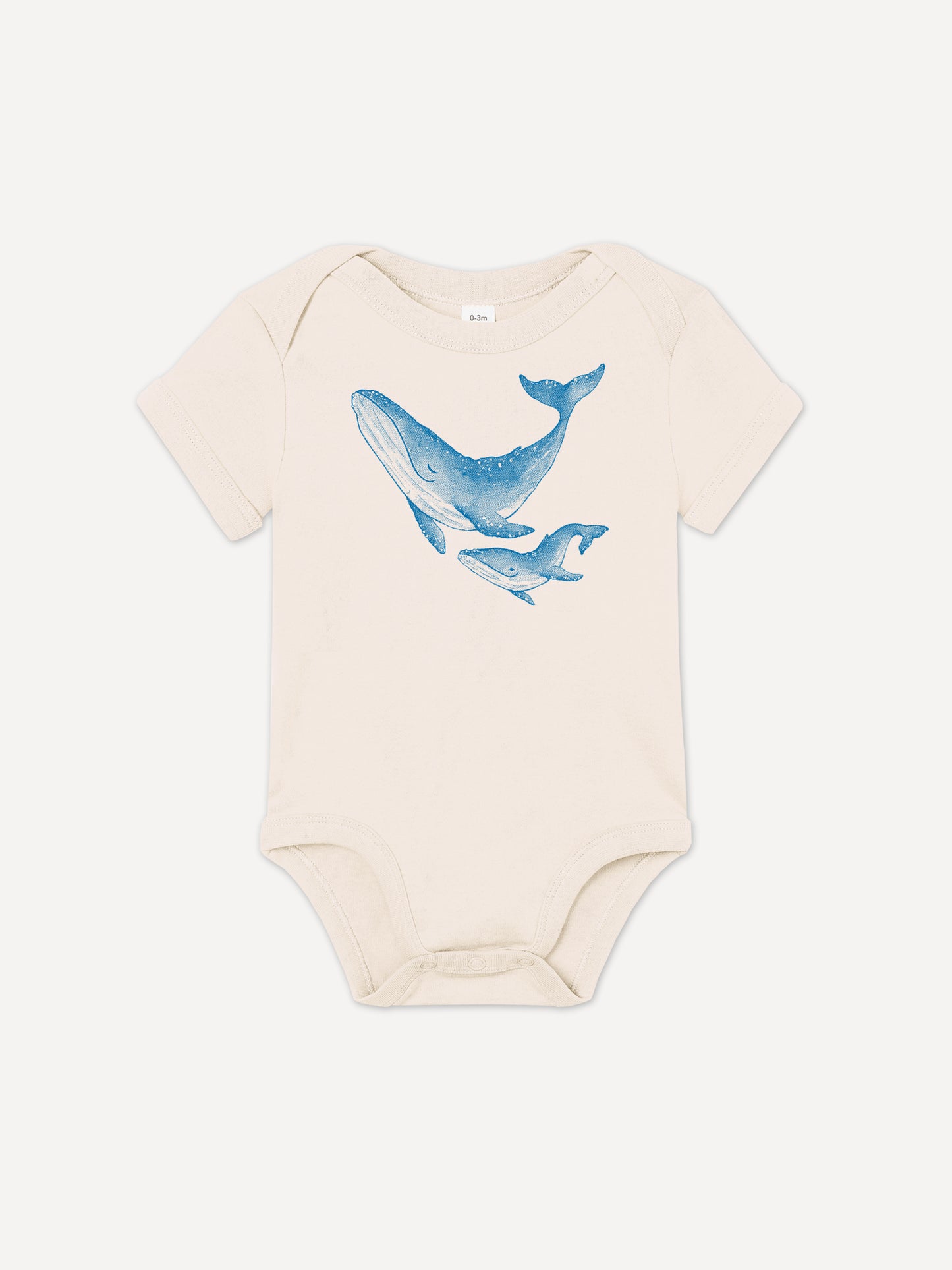 Whales | Body short sleeve